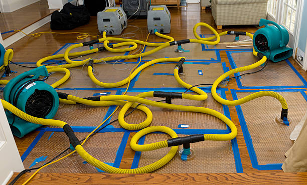 Professional Water Damage Repair technician working in Utica, MI