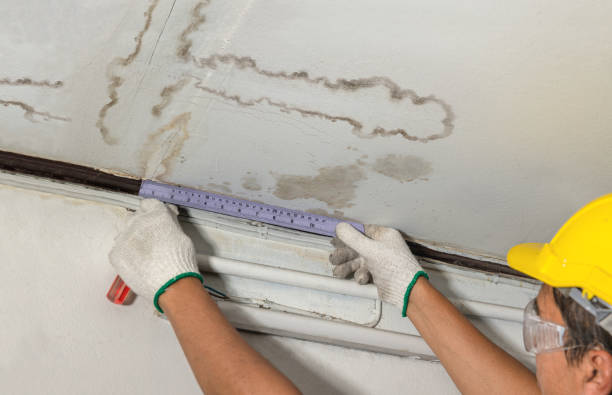 Affordable Water Damage Repair solutions in Utica, MI